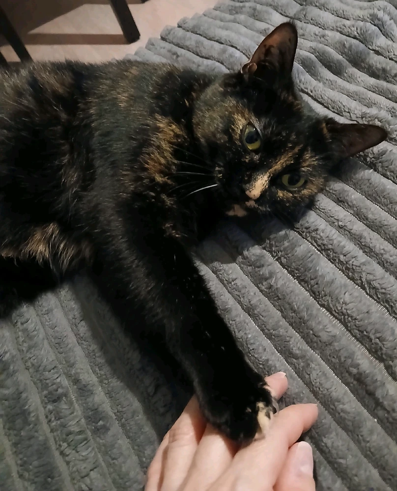 Les Loulous des 👻📷