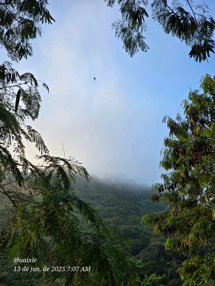 Imagem enviada por Lê Gomes