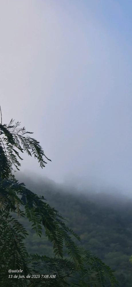 Imagem enviada por Lê Gomes