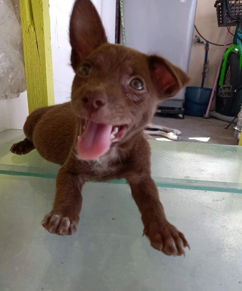 GIF uploaded by Happee