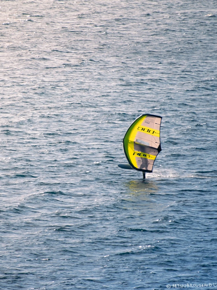 Image uploaded by Arthur