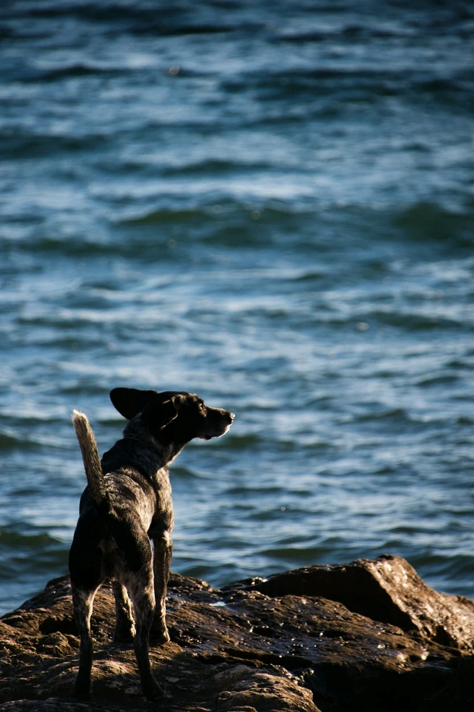 Image uploaded by Arthur