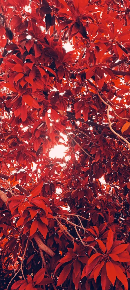 Фото загрузил Дарья