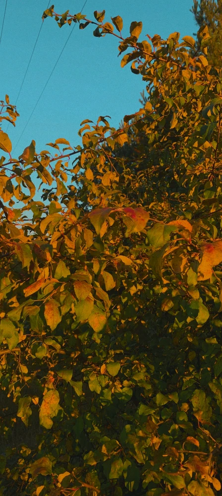 Фото загрузил Дарья