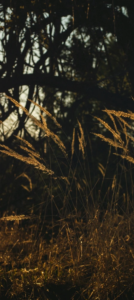 Фото загрузил Дарья