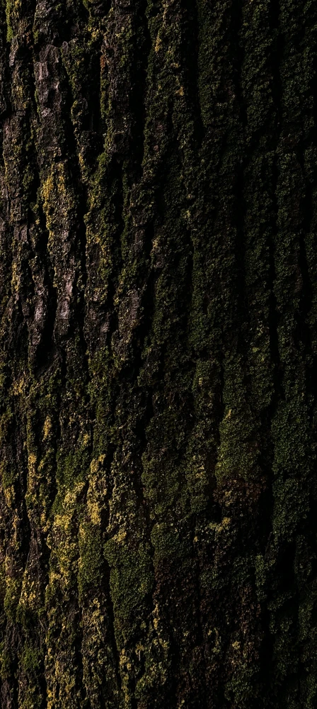 Фото загрузил Дарья