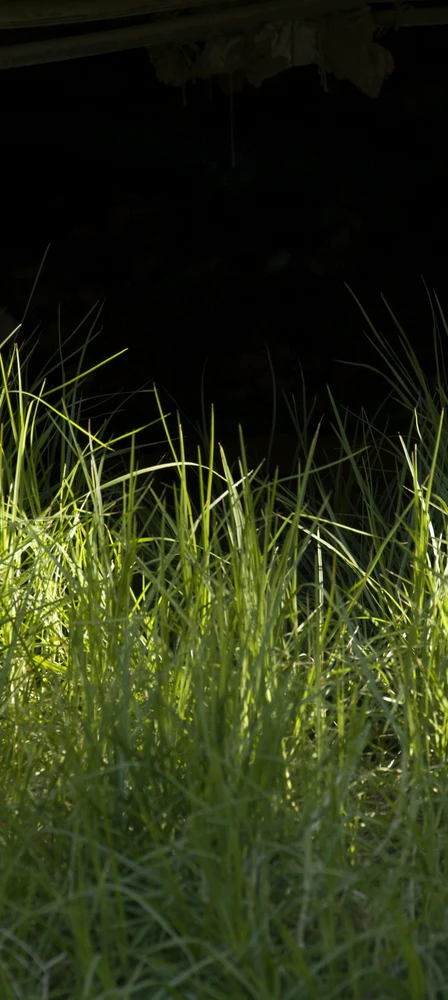 Фото загрузил Дарья