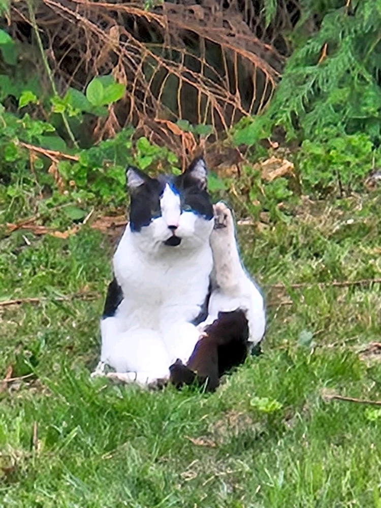 GIF uploaded by Amanda