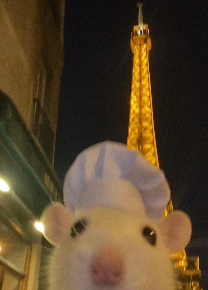 GIF hochgeladen von Daniel