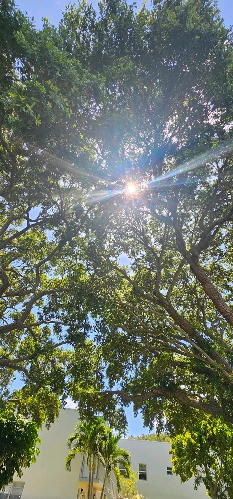 GIF uploaded by Liza