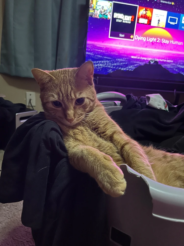 GIF uploaded by Bri