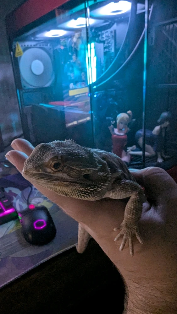 This is Marsha, she was a Marshall before I identified her sex, also there is my PC reveal!