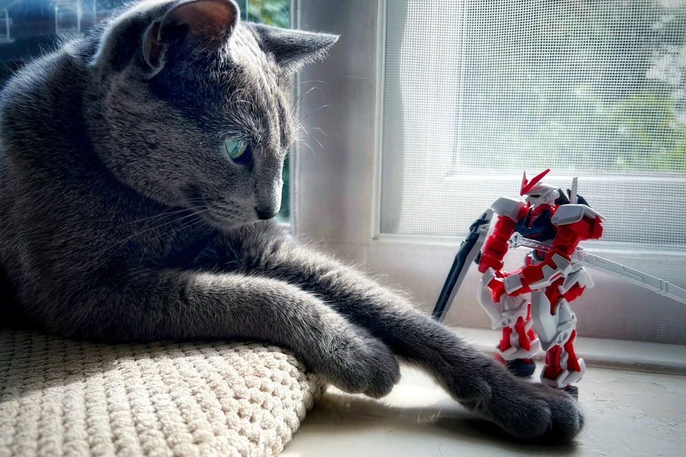 GIF uploaded by Ross