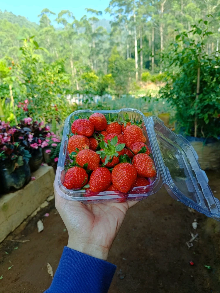 Image uploaded by Zee