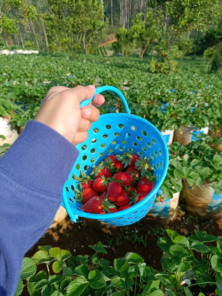 Image uploaded by Zee