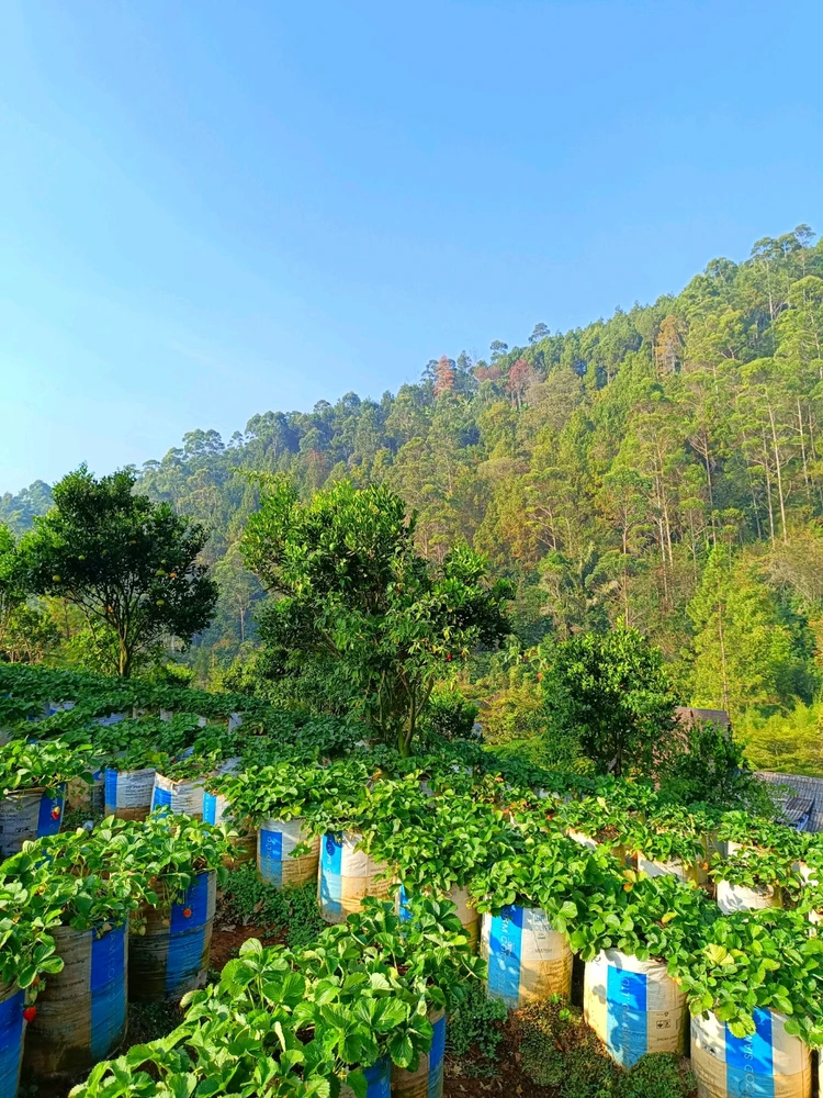 Image uploaded by Zee