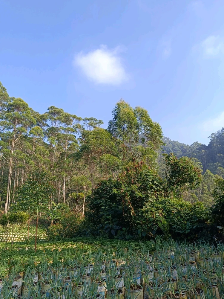 Image uploaded by Zee