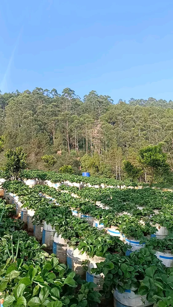 Image uploaded by Zee