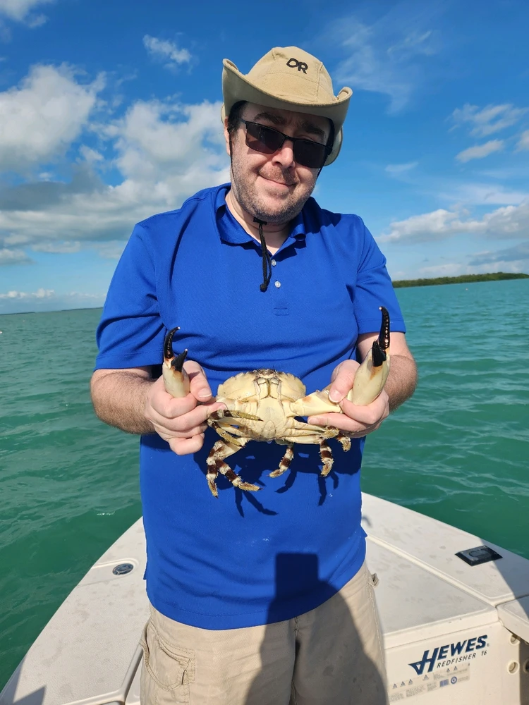 Image uploaded by Terra