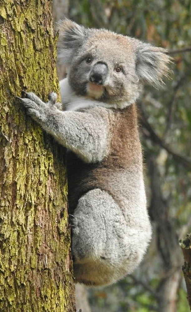 GIF uploaded by Chris