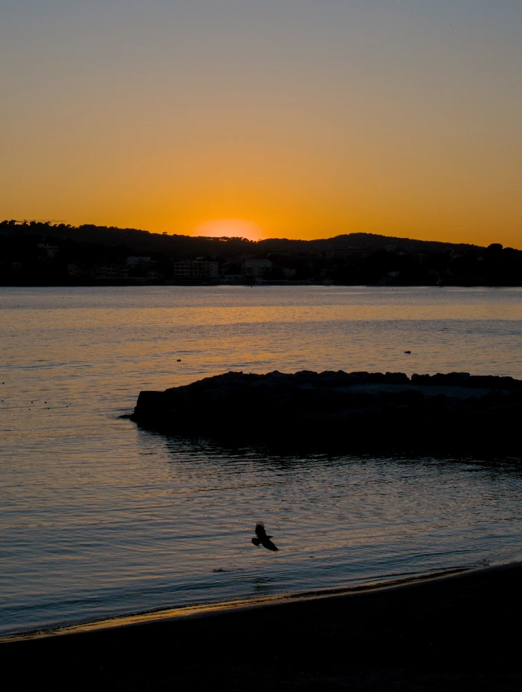 Image uploaded by Arthur