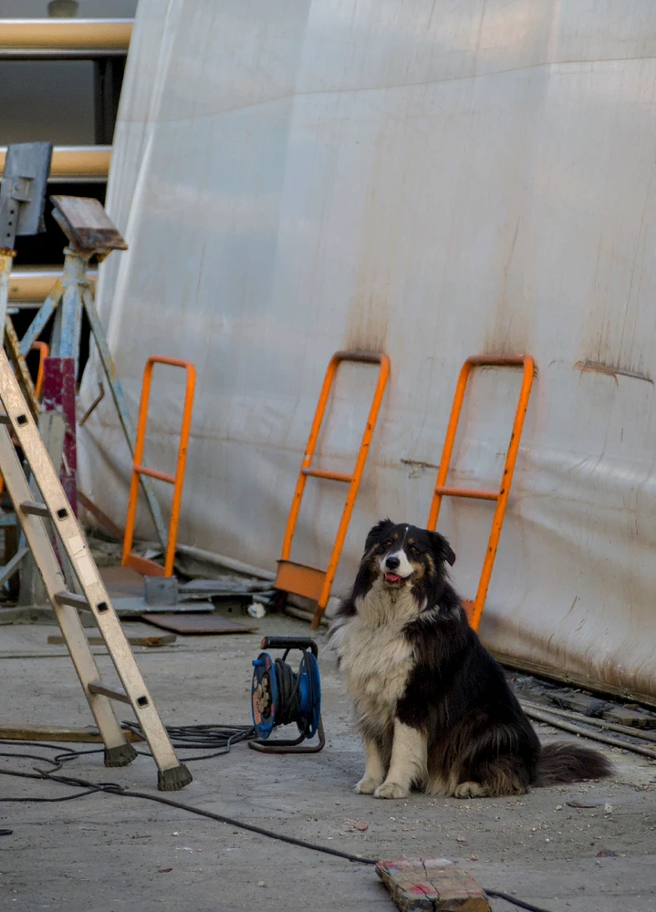 Image uploaded by Arthur