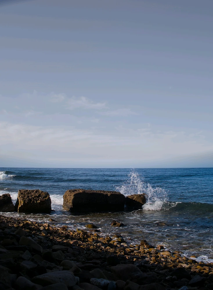 Image uploaded by Arthur