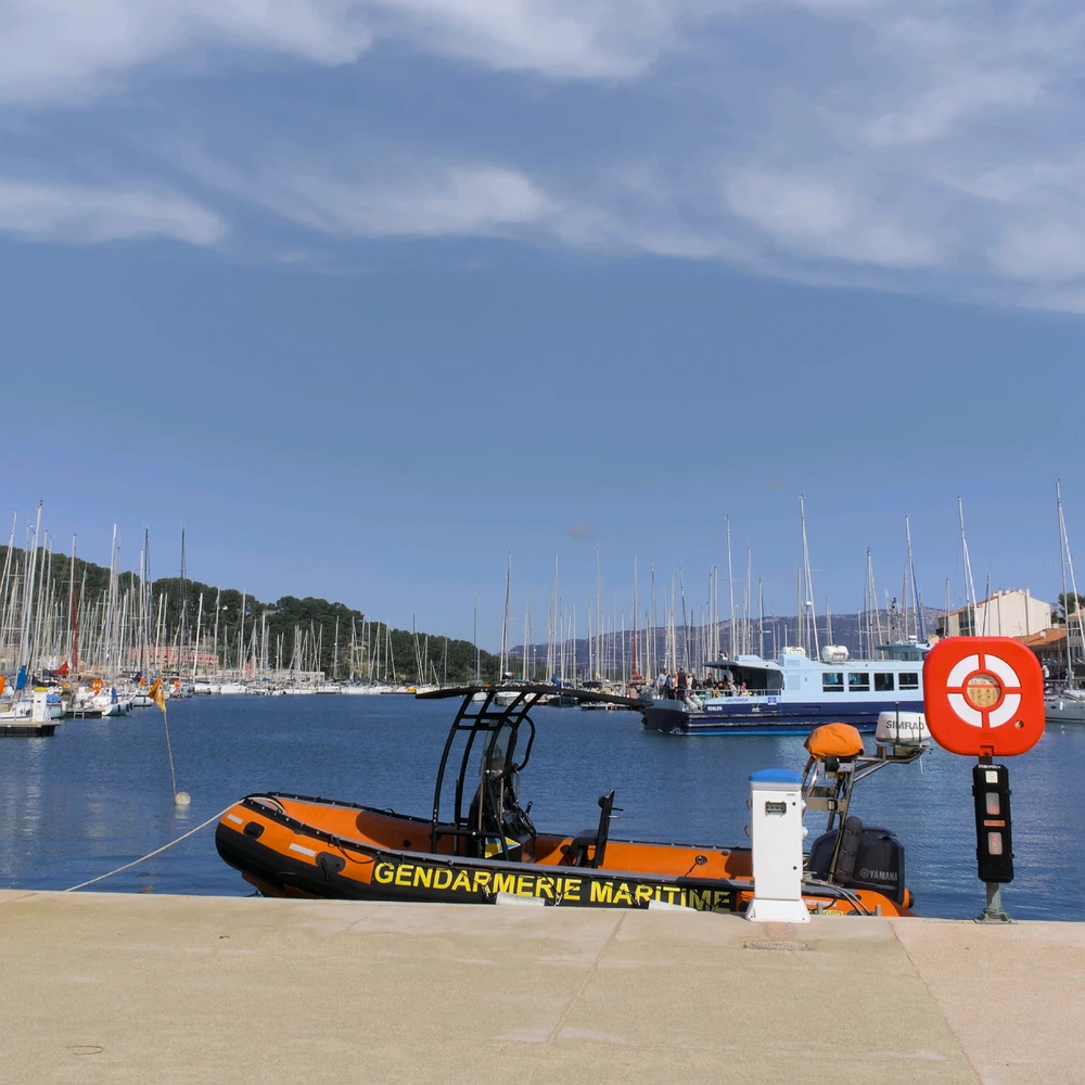 Image uploaded by Arthur