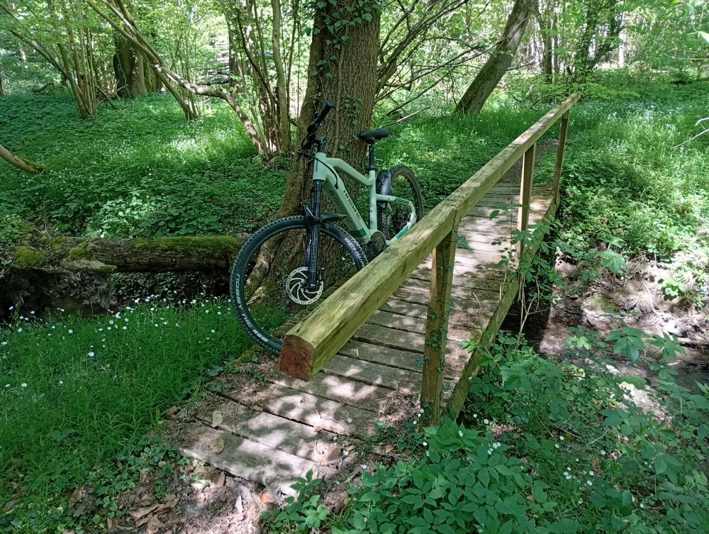 GIF hochgeladen von Jan