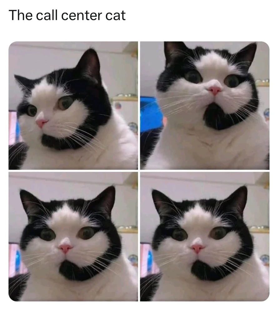 GIF încărcat de Luiza