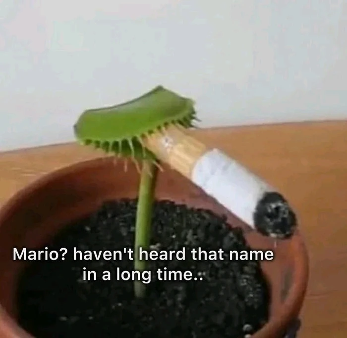 GIF hochgeladen von Axel