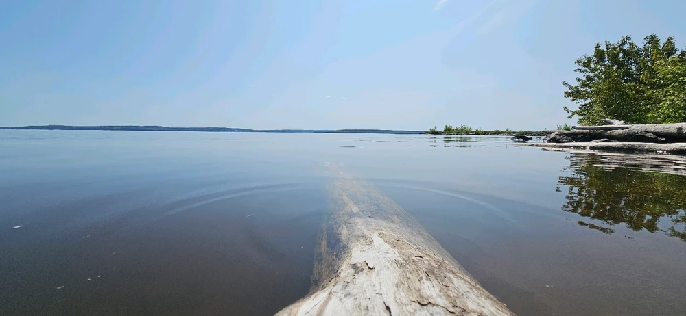 Image uploaded by Winter