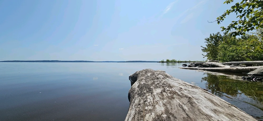 Image uploaded by Winter