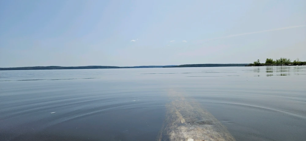 Image uploaded by Winter