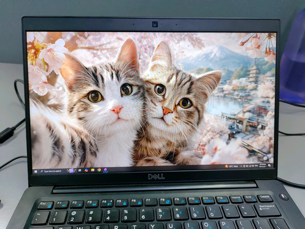 GIF uploaded by Gulfan