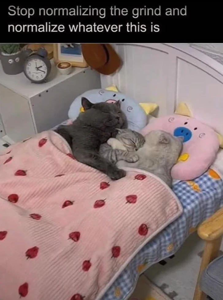 Billede uploadet af mikkel