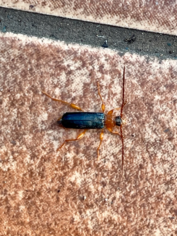 Zdjęcie dodane przez Kamil