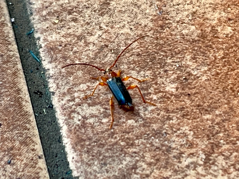 Zdjęcie dodane przez Kamil