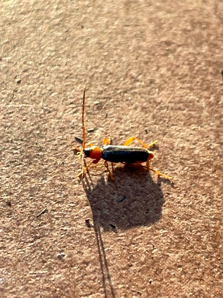 Zdjęcie dodane przez Kamil