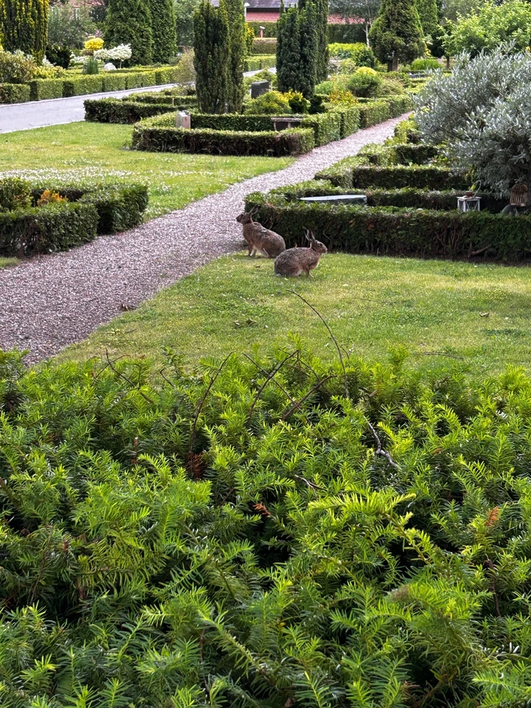 GIF uploadet af Niclas