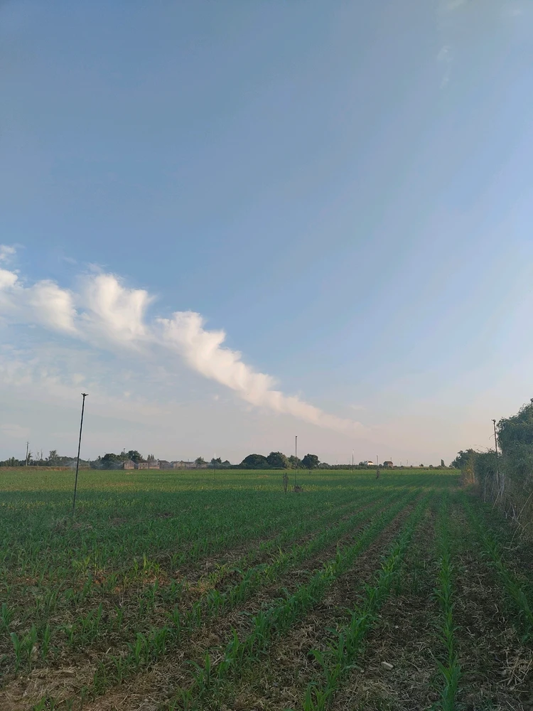 Imagem enviada por Vladimir Zarcovick