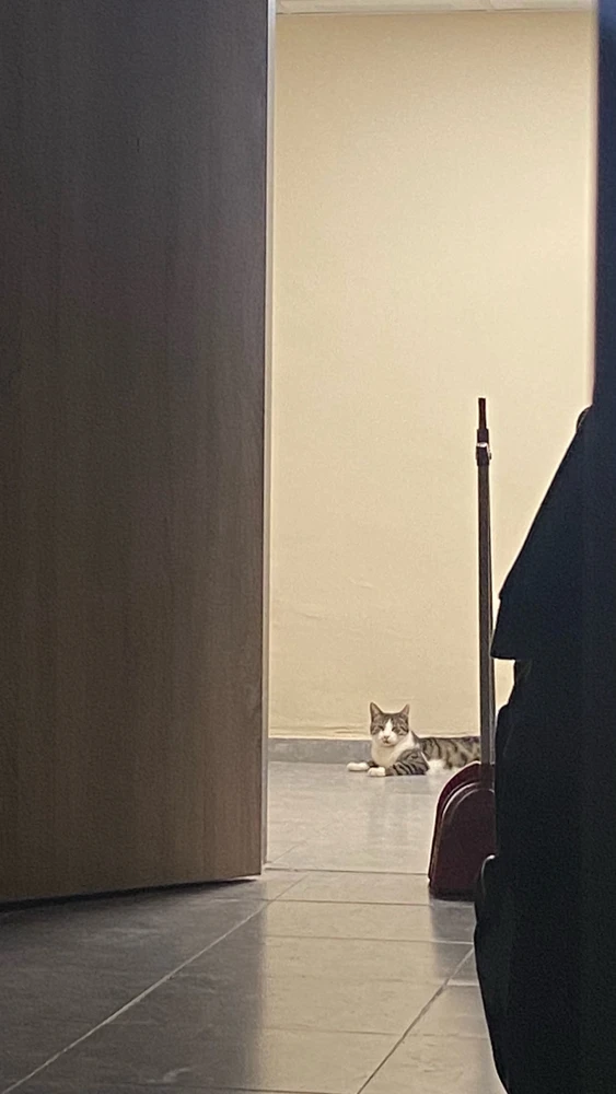 GIF uploaded by Aleyna