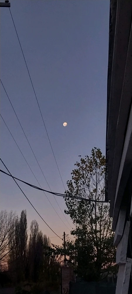 GIF subido por Maria