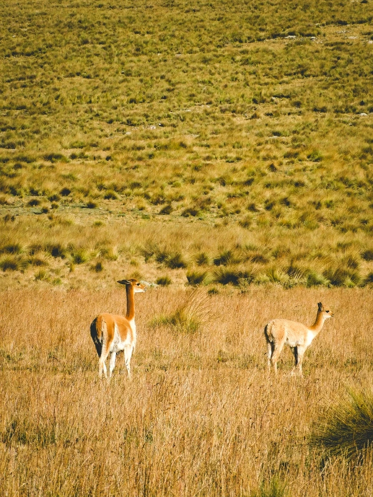 Imagen subida por Fredy