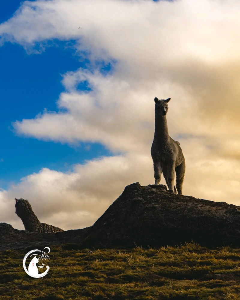 Imagen subida por Fredy