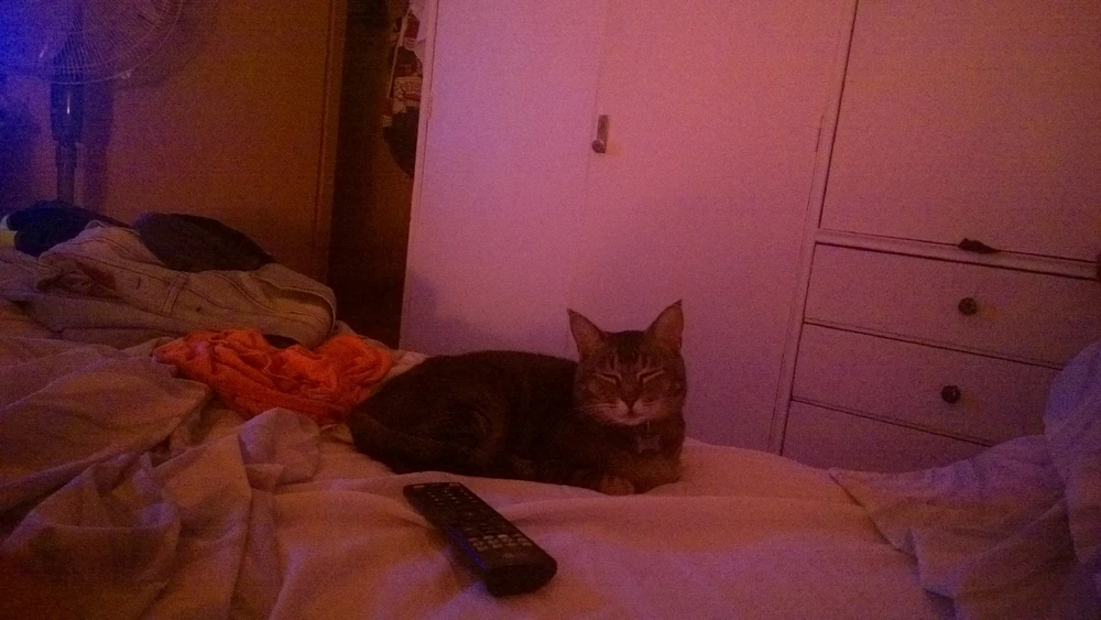 Me siento un poco sensible