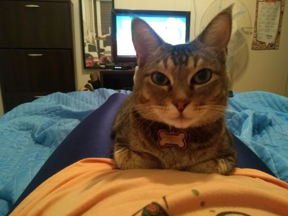 Me siento un poco sensible