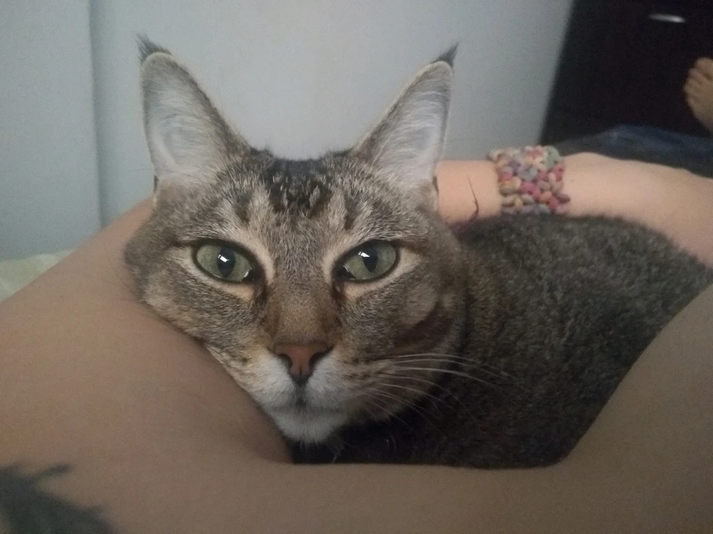 Me siento un poco sensible