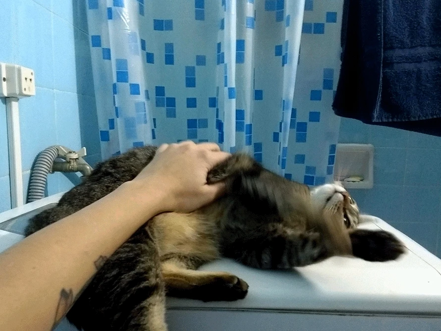 Me siento un poco sensible