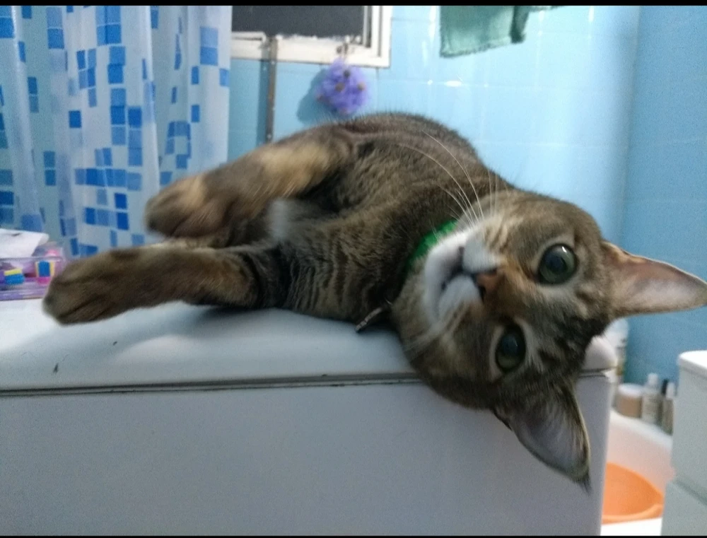 Me siento un poco sensible